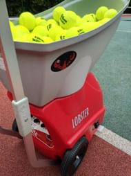 Lobster Sports Elite Liberty